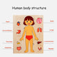 Kids Wooden Montessori Toys Human Body Organs Puzzles Educational Toy Preshool Kindergarten Learning Activities Busy Board
